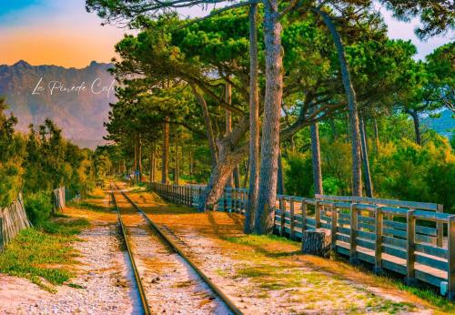 ที่เที่ยวใกล้ที่พัก, Les pieds dans l'eau T2 E in กัลวี