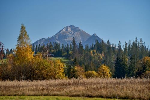 Domek Ślebodny Upłaz, Zakopane (fotografie 3)