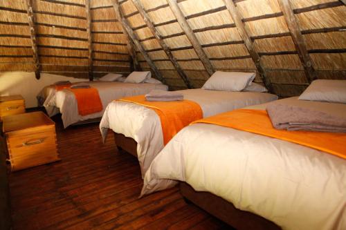 哈雷恩皇家国家公园山林小屋 哈雷恩皇家国家公园山林小屋