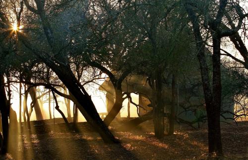 哈雷恩皇家国家公园山林小屋 哈雷恩皇家国家公园山林小屋