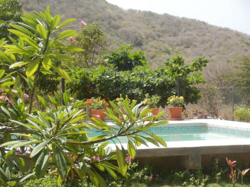 Swimming pool, Posada Casa Las Trinitarias in Margarita Island