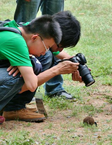 哈雷恩皇家国家公园山林小屋 哈雷恩皇家国家公园山林小屋