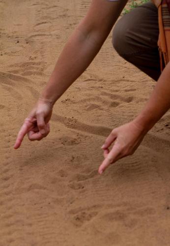 哈雷恩皇家国家公园山林小屋 哈雷恩皇家国家公园山林小屋