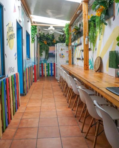 บริการและสิ่งอำนวยความสะดวก, Tenerife Experience Hostel in ซานตา ครูซ เดอ เทเนริเฟ