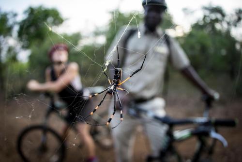 哈雷恩皇家国家公园山林小屋 哈雷恩皇家国家公园山林小屋