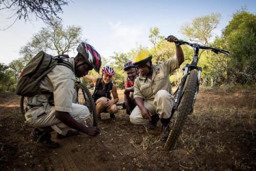 哈雷恩皇家国家公园山林小屋 哈雷恩皇家国家公园山林小屋