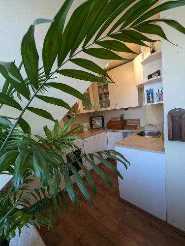 Family Apartman by Budapest in God