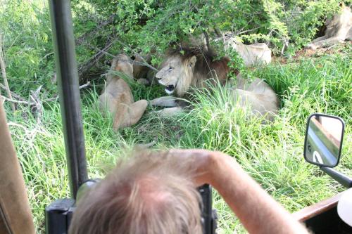 哈雷恩皇家国家公园山林小屋 哈雷恩皇家国家公园山林小屋