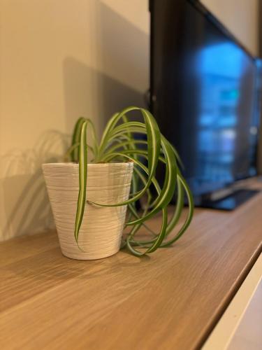 Ruytingen Modern Seaside Suite in 科克賽德