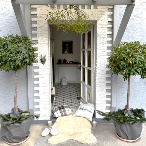 Zuhause bei ELLEN Zuhause bei ELLEN