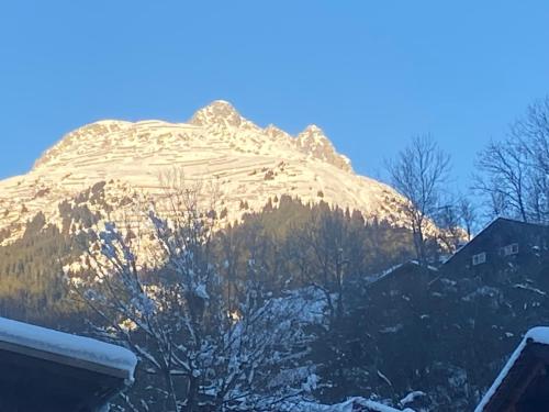 Casa Vegana, 3,5 Zi Wohnung, 5 PL, 2 Bäder in Trun, Schweiz