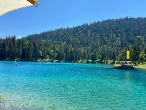 Casa Vegana, 3,5 Zi Wohnung, 5 PL, 2 Bäder (Casa Vegana, 3,5 Zi Wohnung, 5 PL, 2 Bader) in Trun