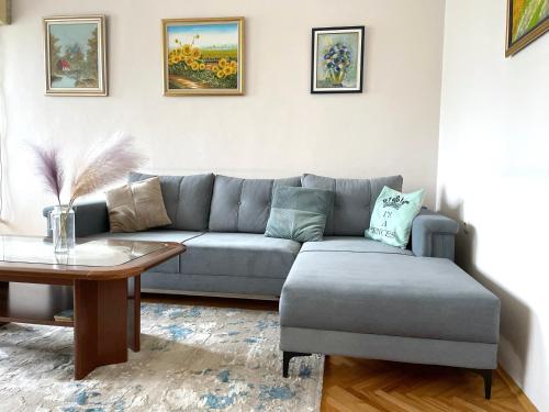 City Centre Comfort Apartment - Free Parking, Skopje
