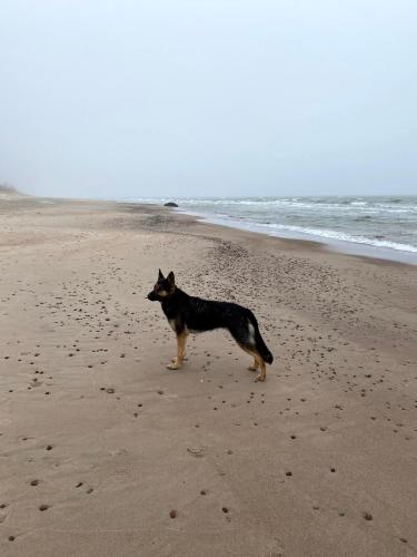 Provincija - image 13