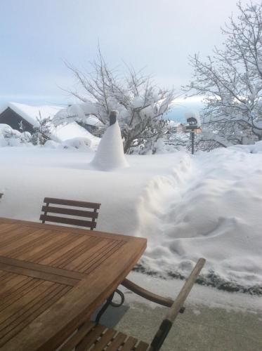 Ferienwohnungen Alpenblick mit Garten -Panoramasauna- in Kirchdorf i. Wald
