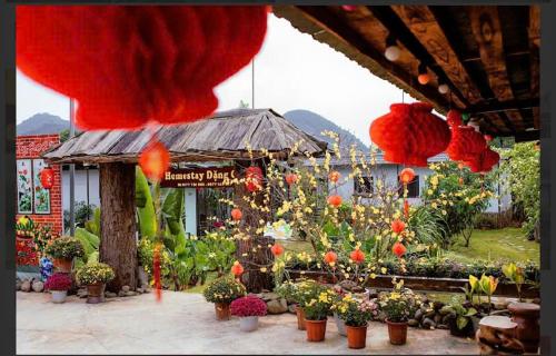 Homestay MOC CHAU ĐANG GIA