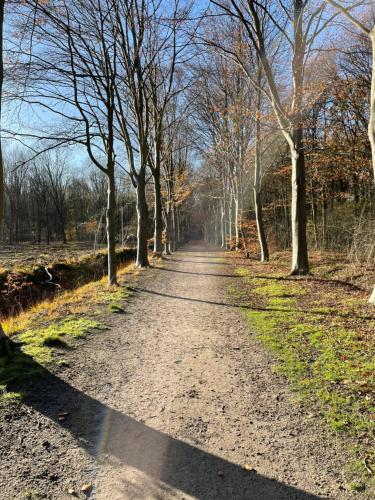 Omgeving, B&B de wilde hoek in Bergen Op Zoom