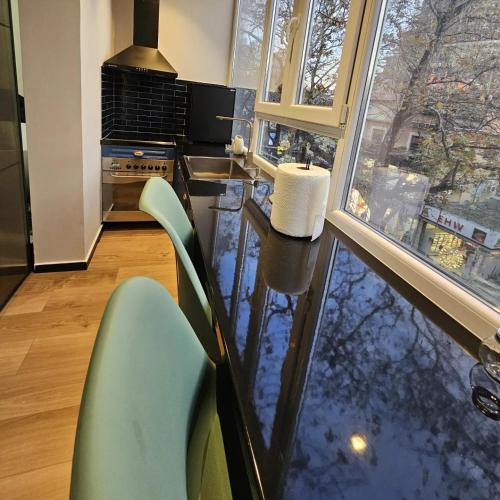 Central Apartment Myslym Shyri Street with balcony, Tirana (photo 10)