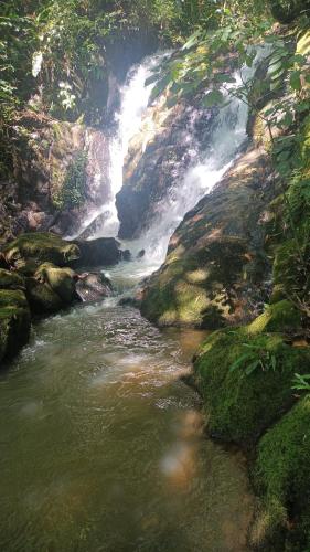 Surrounding environment, Sitio Sao Francisco de Assis in São Pedro De Alcântara