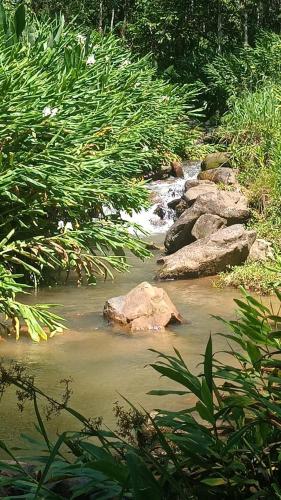 Surrounding environment, Sitio Sao Francisco de Assis in São Pedro De Alcântara