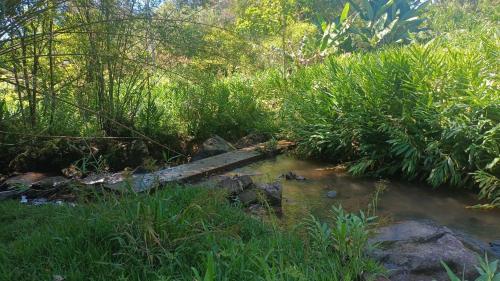 Surrounding environment, Sitio Sao Francisco de Assis in São Pedro De Alcântara