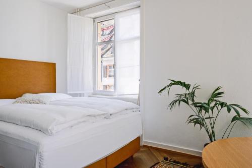 Consum Residence by Krafft Basel - image 2