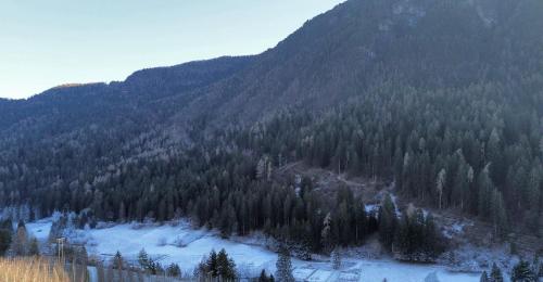 View, Appartamento Paola in Caldes