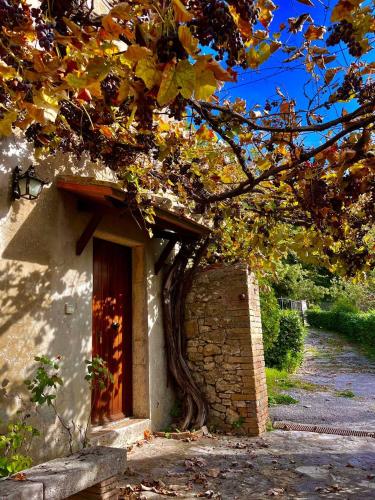  All´Acqua Santa, immersi nella natura in Semproniano