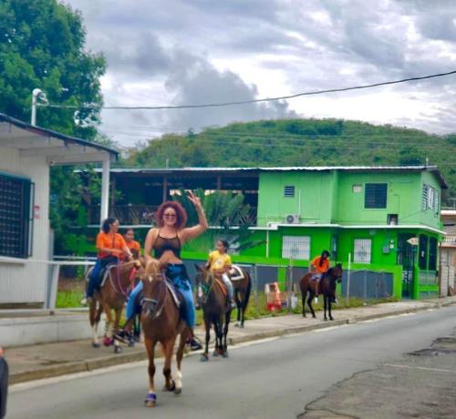 Vieques Good Vibe Guest House - image 26