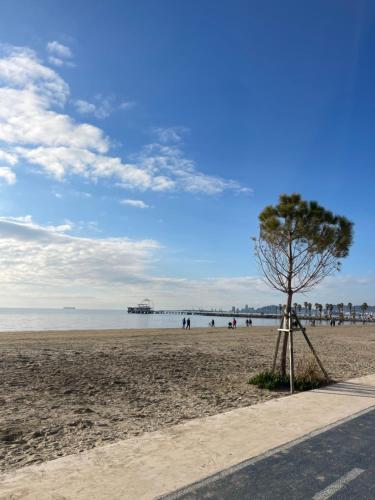 Hotel Vila Max - image 5