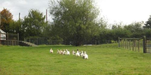 Accessible 4-Bed Barn Sleeps 8 - Farm Stay in Mayfield (East Sussex)