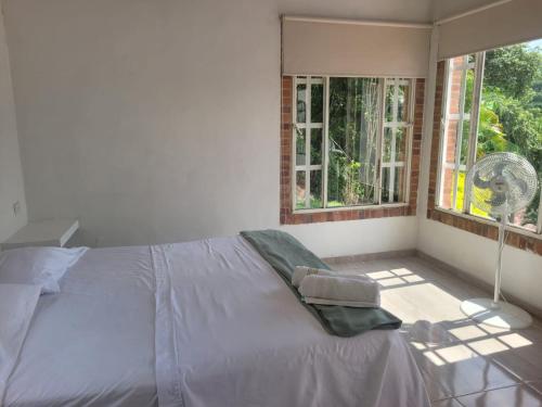 RICHYSTORE and Luna Nueva Summer House