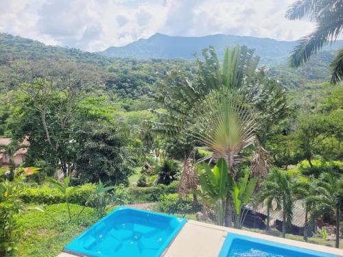 RICHYSTORE and Luna Nueva Summer House