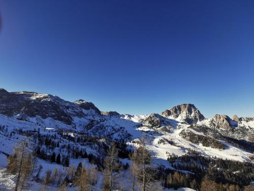 Urlaub wie früher bei Oma Urlaub wie früher bei Oma
