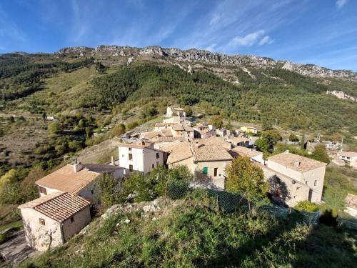 Chardon in Saint-Auban