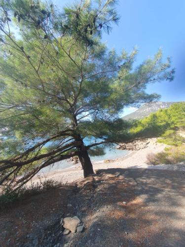 周邊環境, Traumhafte Wohnung mit Meerblick in Sutomore in 蘇托莫雷