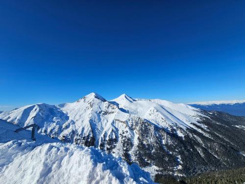 Double room with Balcony Transalpina Ski Resort - DBL1