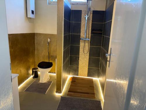 Authentic Travellers Suite Authentic Travellers Suite