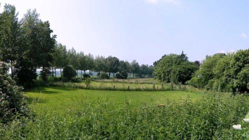 Authentic Travellers Suite Authentic Travellers Suite