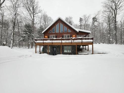 Blissful Bear in Old Forge, Vereinigte Staaten von Amerika