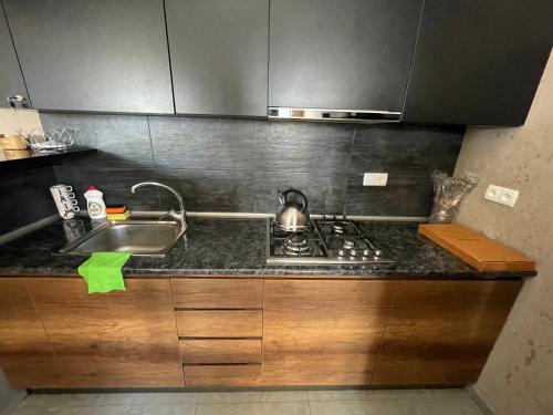 Villa on the Edge of the Forest in Bakuriani