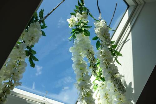 Light filled zen 3BR Penthouse - 7 min to Westport detail