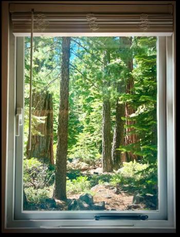 Modern and Private Cabin in the Woods Modern and Private Cabin in the Woods