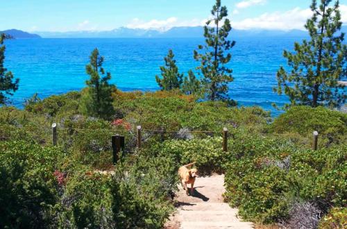 Modern and Private Cabin in the Woods Modern and Private Cabin in the Woods