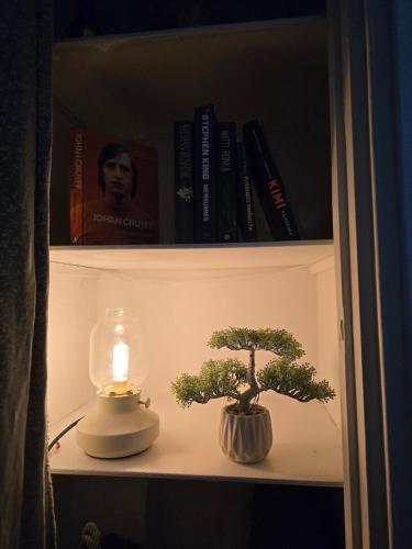 Cozy city apartment in Helsinki city center, Helsinky (fotografie 2)