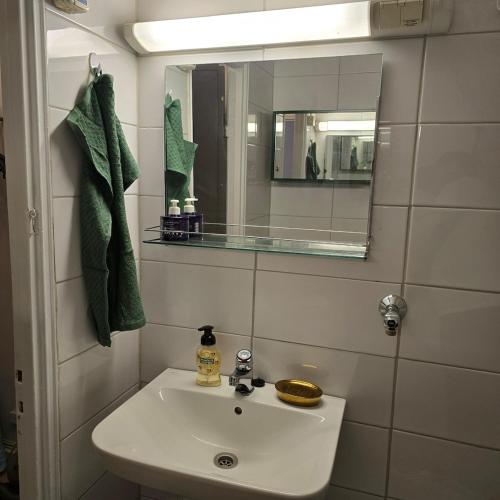 Cozy city apartment in Helsinki city center, Helsinky (fotografie 9)