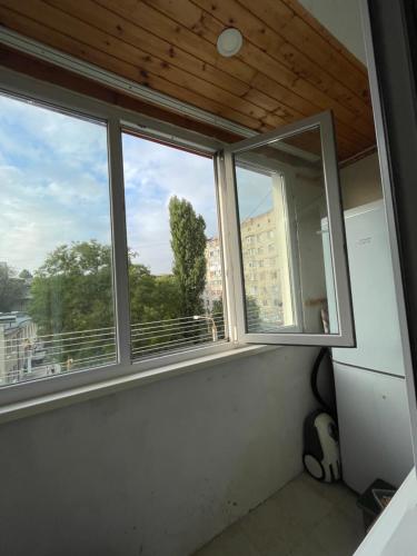 Cozy apartment at Botanica Cozy apartment at Botanica