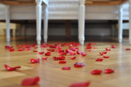 Annas Hotell - image 3