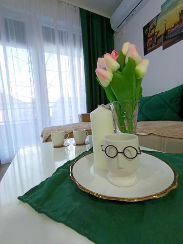 MSapartman - Location saisonnière - Vrnjačka Banja