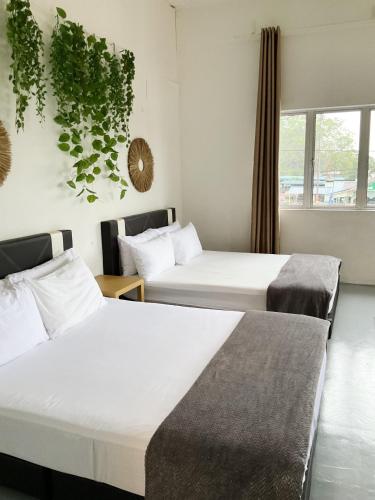 2 double beds